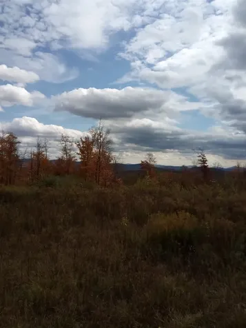 O Toad Pond Road Morgan VT 05853