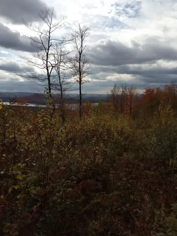 O Toad Pond Road Morgan VT 05853