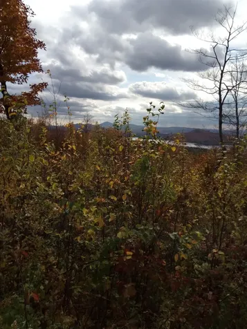 O Toad Pond Road Morgan VT 05853