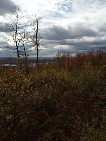 O Toad Pond Road Morgan VT 05853