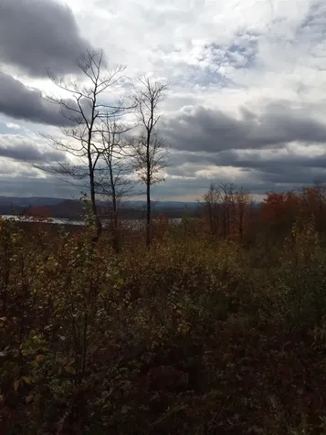 O Toad Pond Road Morgan VT 05853