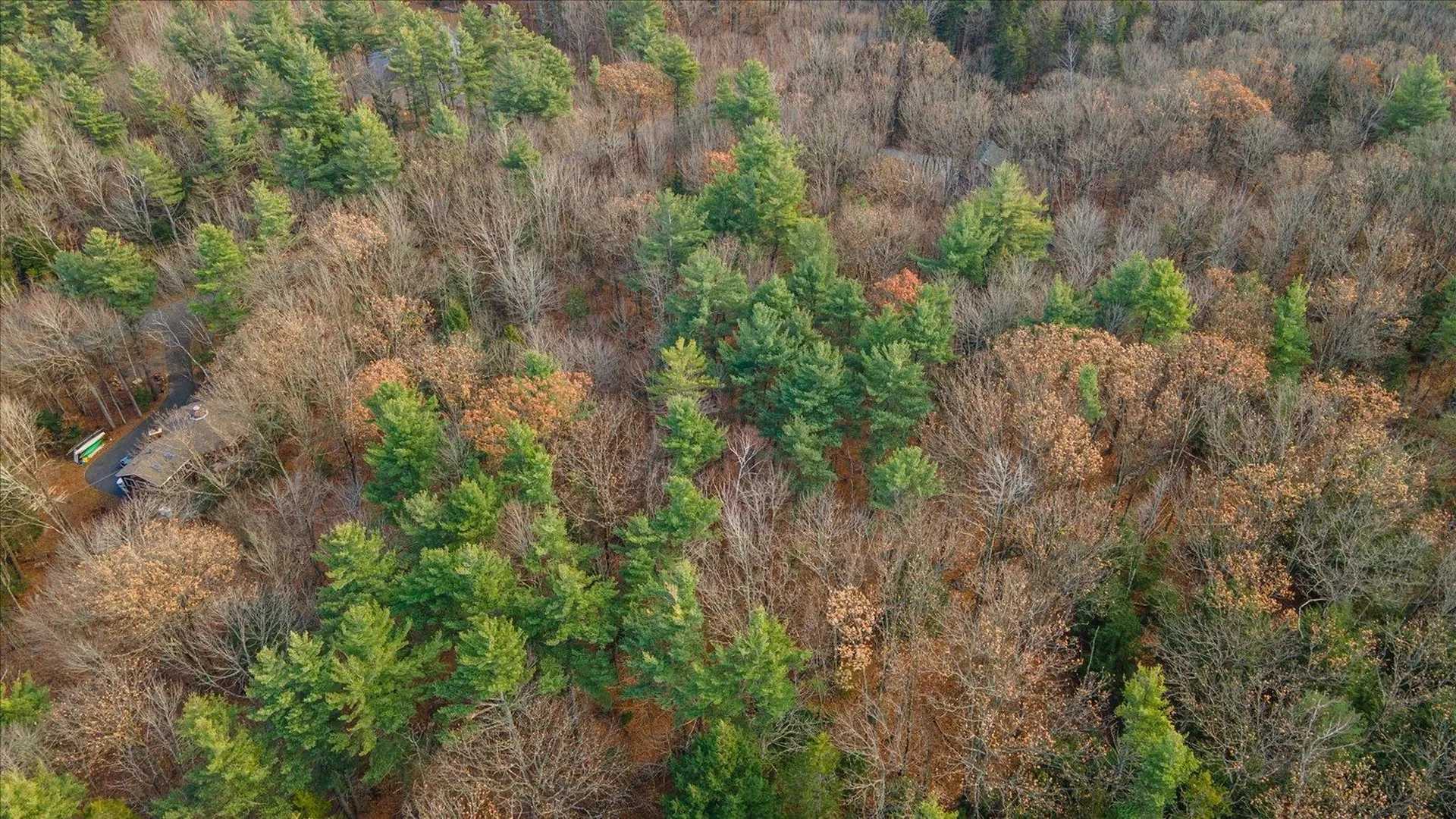 166 Prospect Hill Road Hancock NH 03449