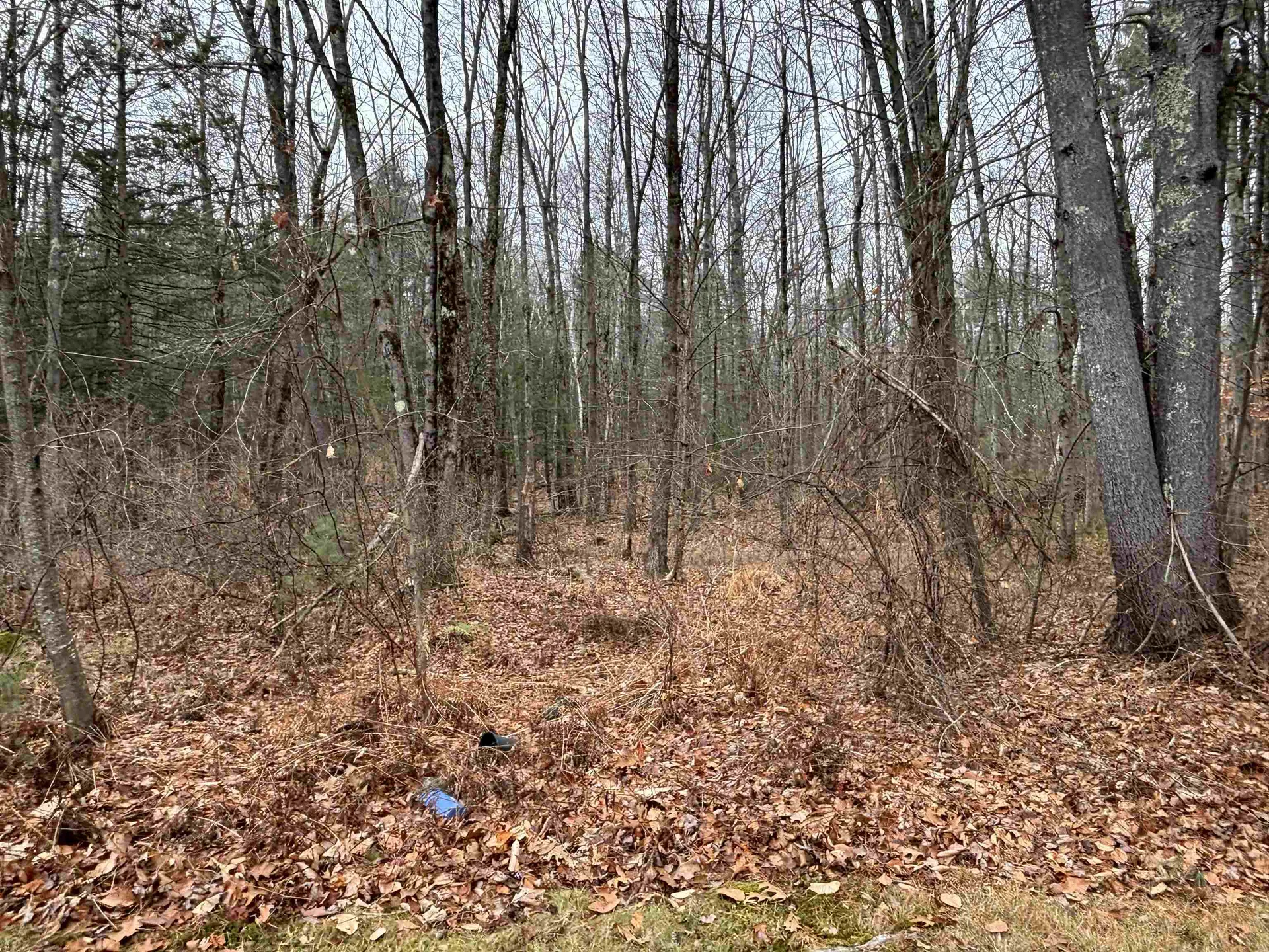 501 E Dunbarton Road Goffstown NH 03045