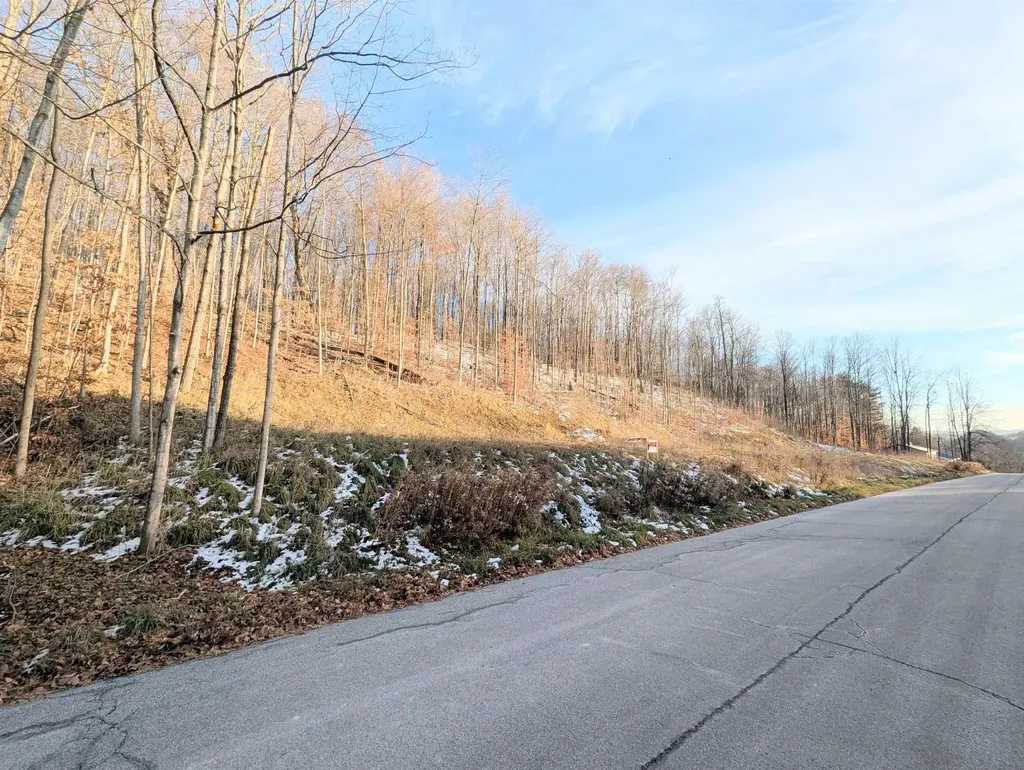 Lot #10 & 11 Maplewood Avenue Barre City VT 05641