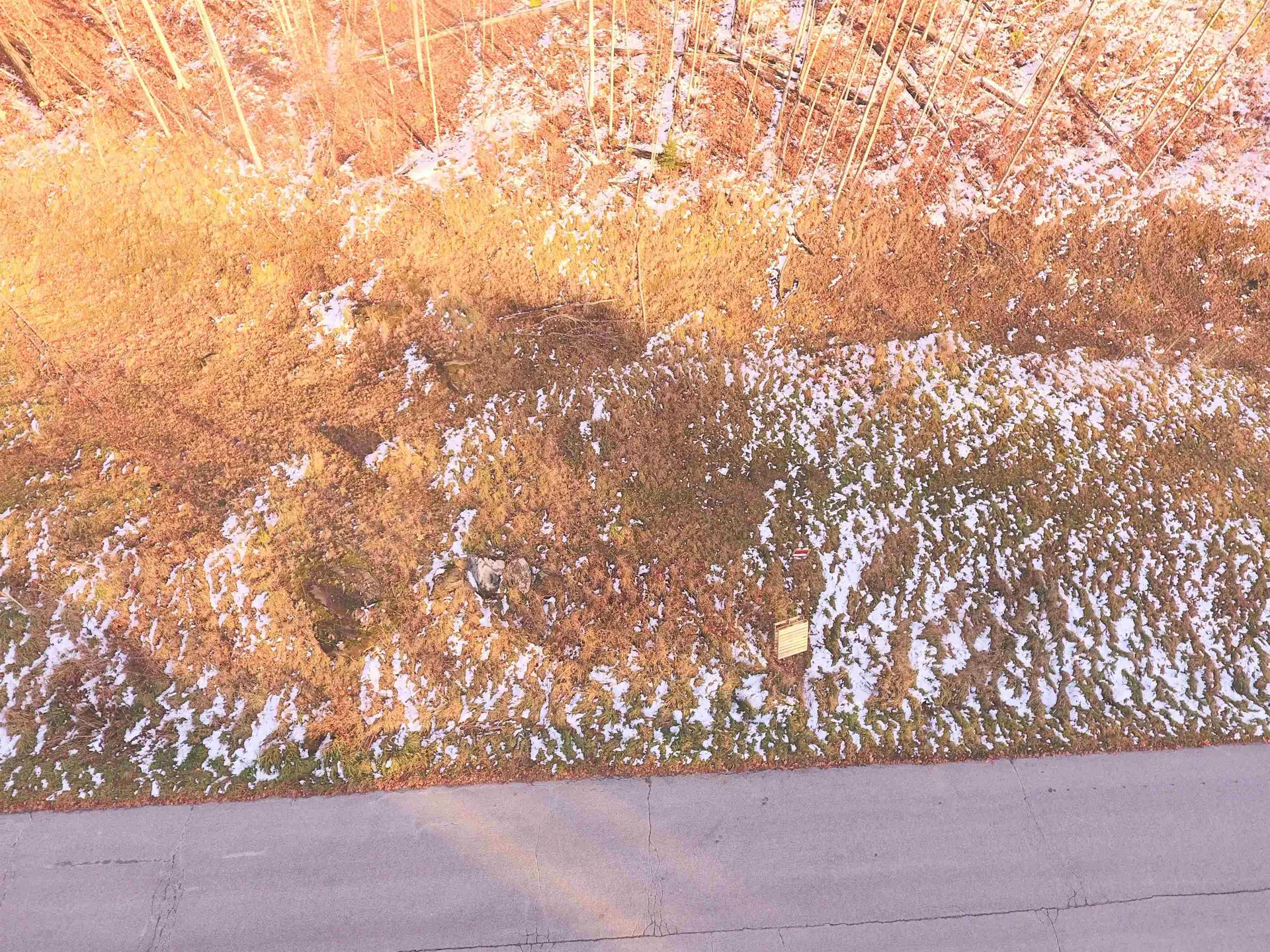 Lot #10 & 11 Maplewood Avenue Barre City VT 05641