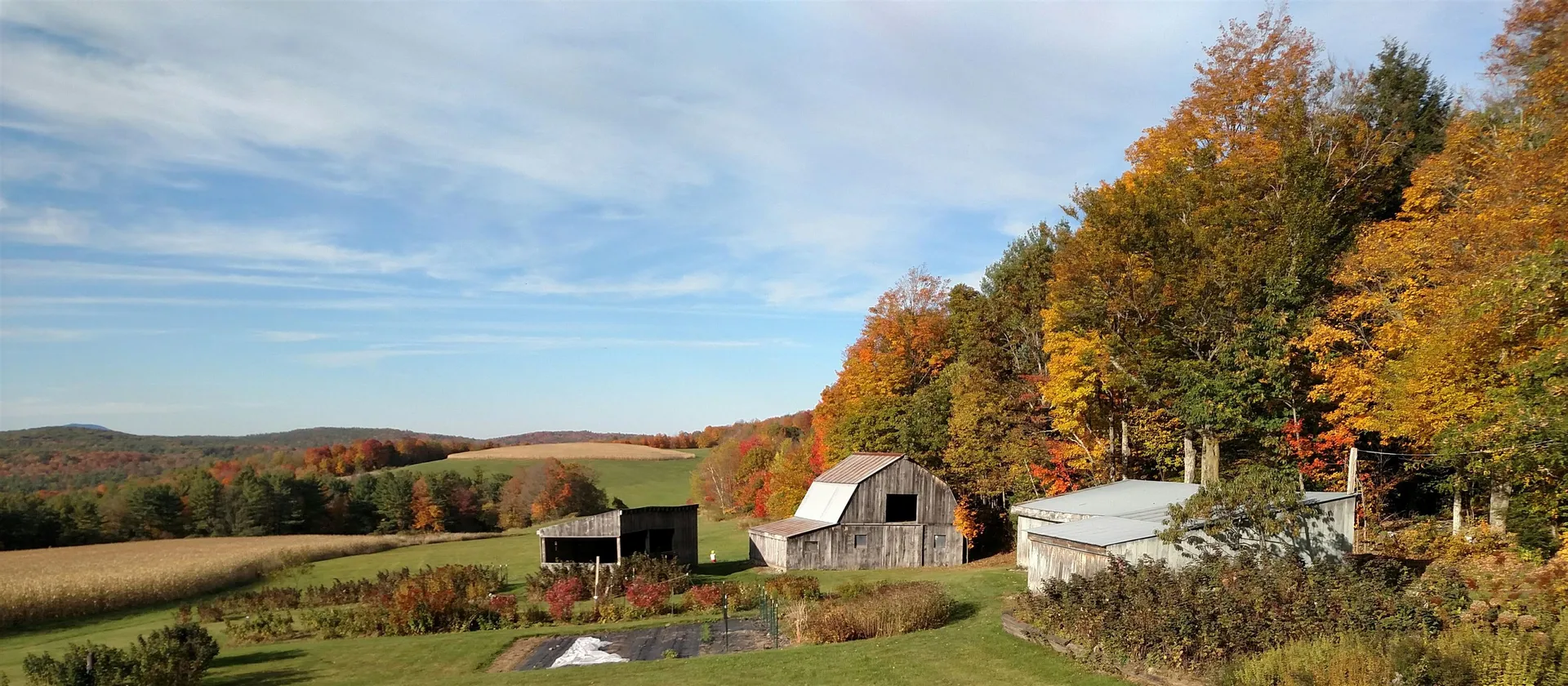 563 Holden Hill Road Langdon NH 03602