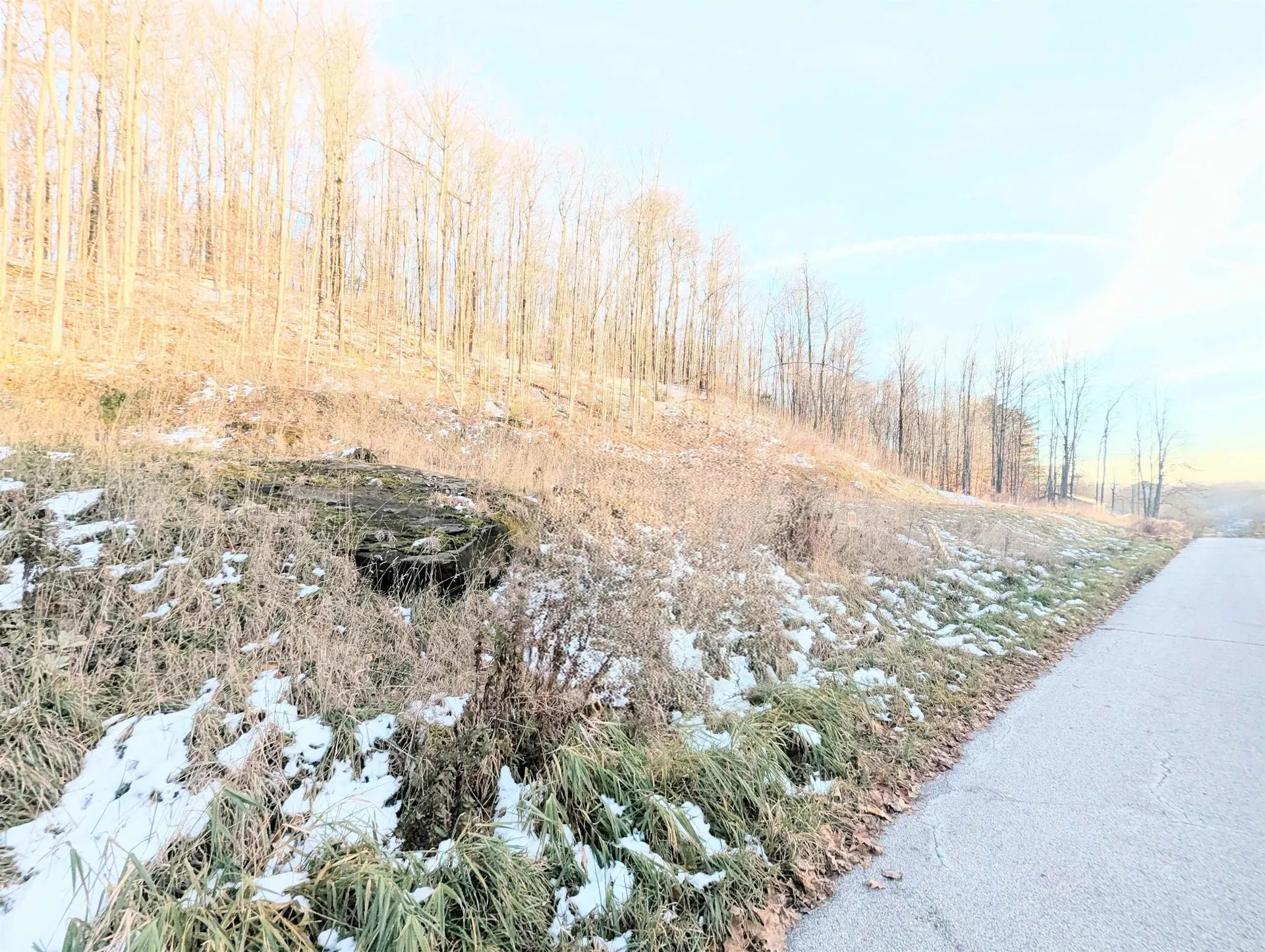 Lot # 11 Maplewood Avenue Barre City VT 05641