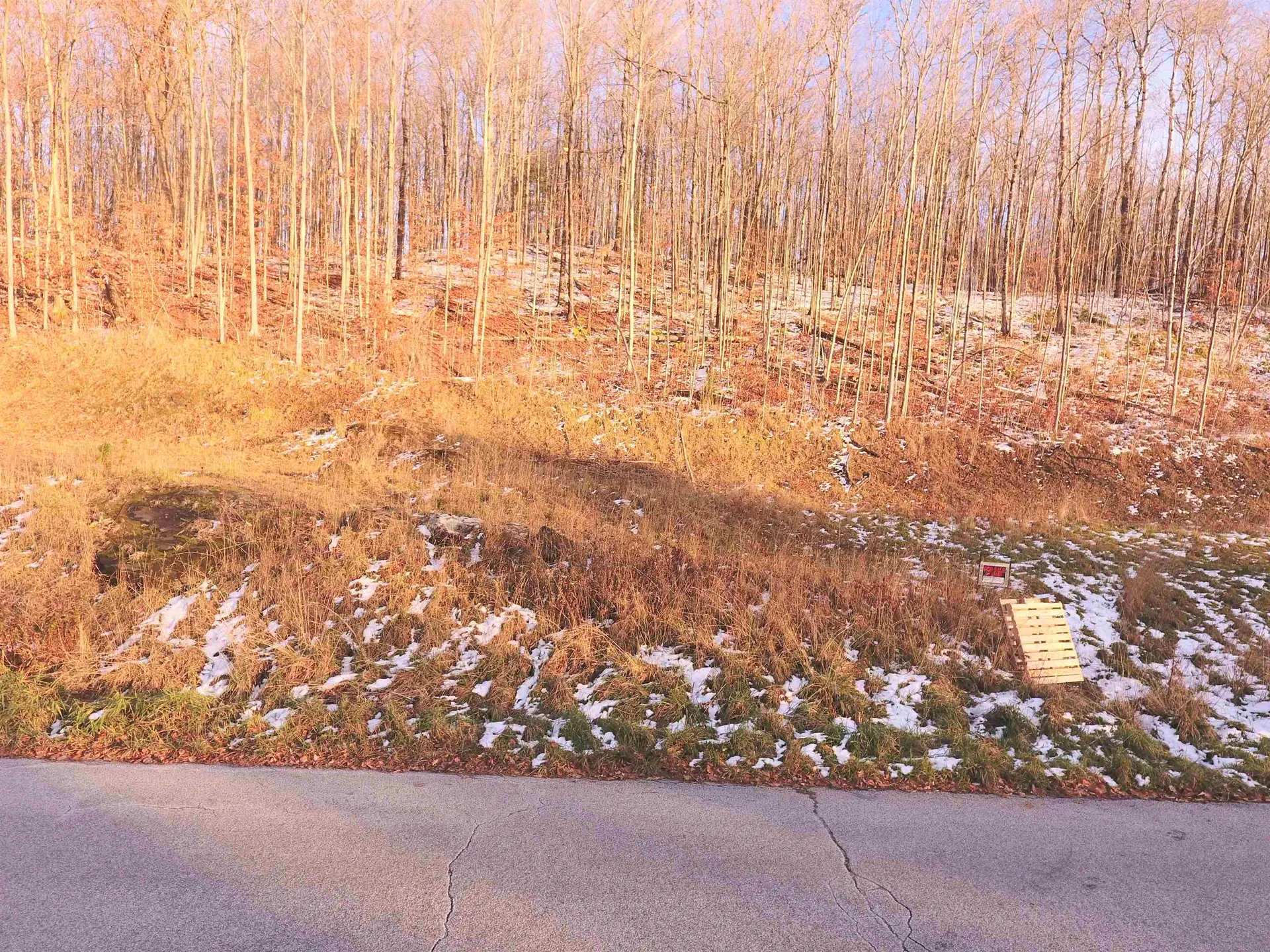 Lot # 10 Maplewood Avenue Barre City VT 05641