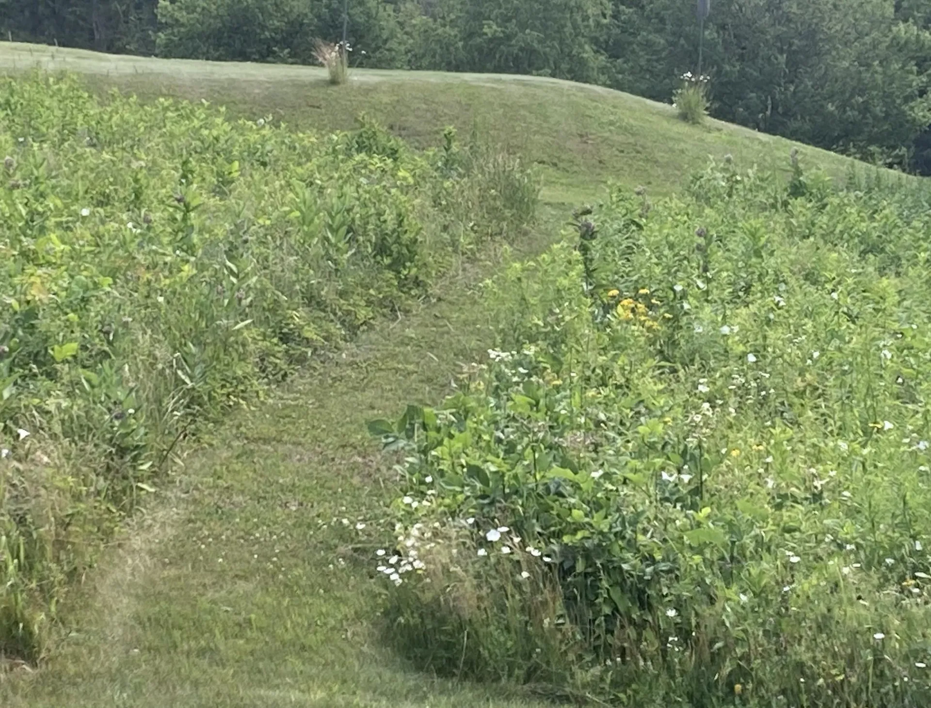 138 Trow Hill Road Sunapee NH 03782