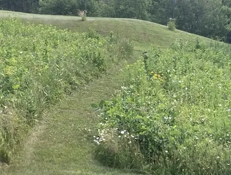 138 Trow Hill Road Sunapee NH 03782