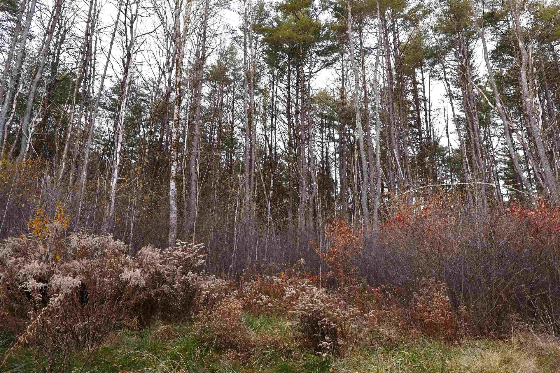 0 Us Route 5 South Norwich VT 05055