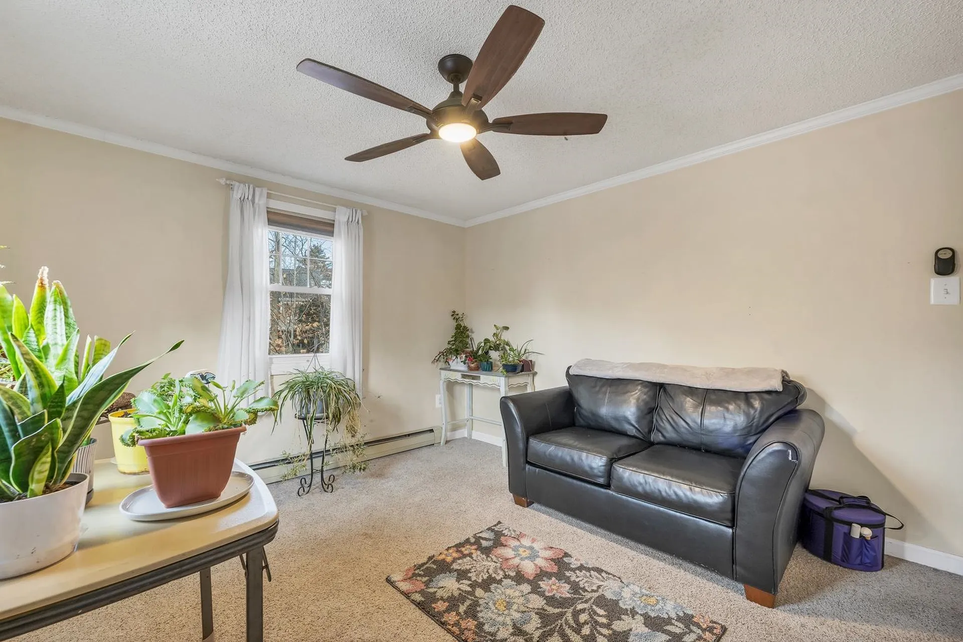 106 Fairview Avenue Conway NH 03818