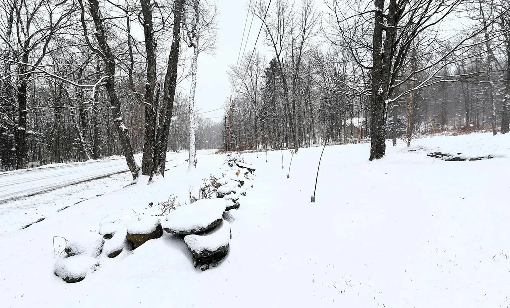 2029 North Hill Road Andover VT 05143