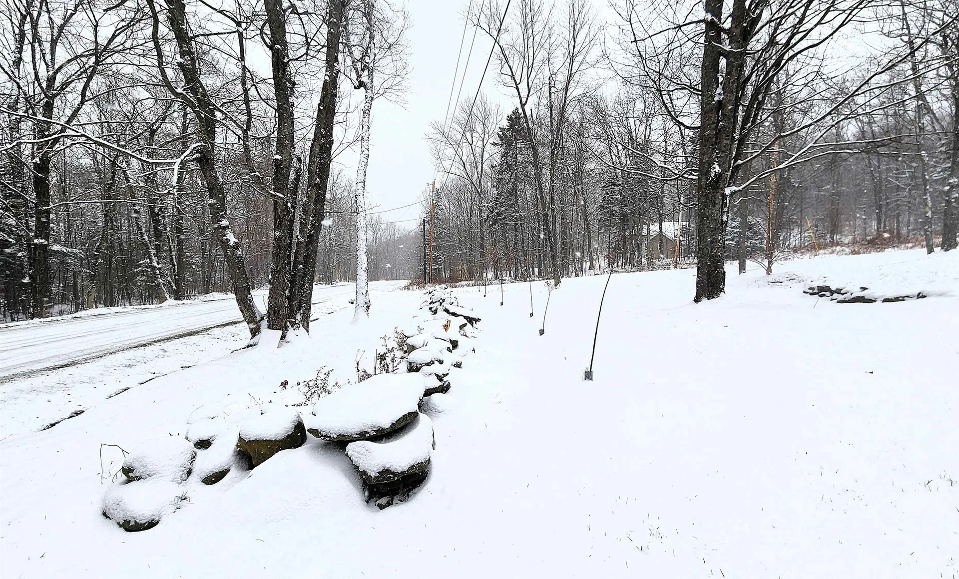 2029 North Hill Road Andover VT 05143