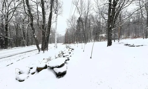 2029 North Hill Road Andover VT 05143