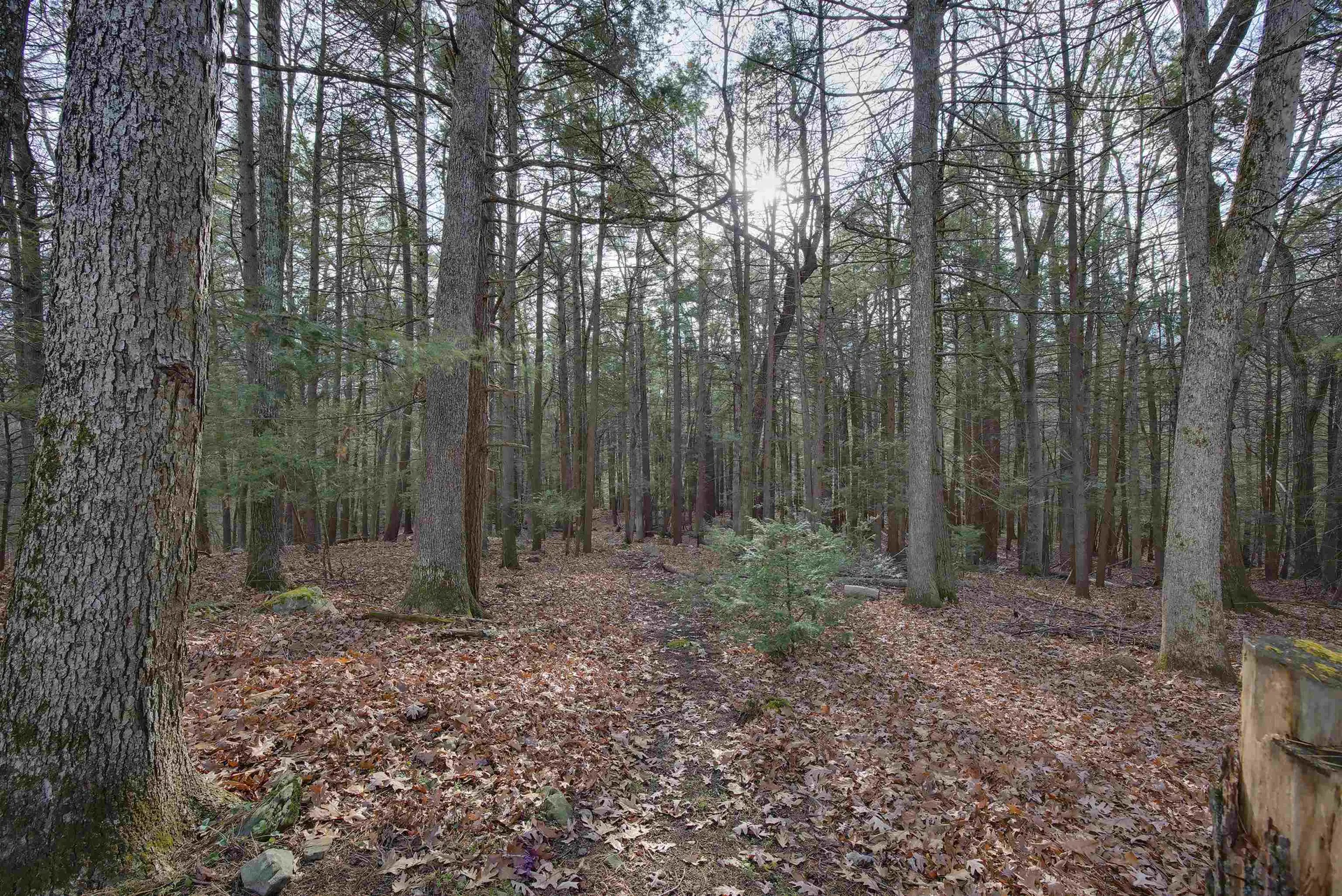 42 Country Road Hampstead NH 03826