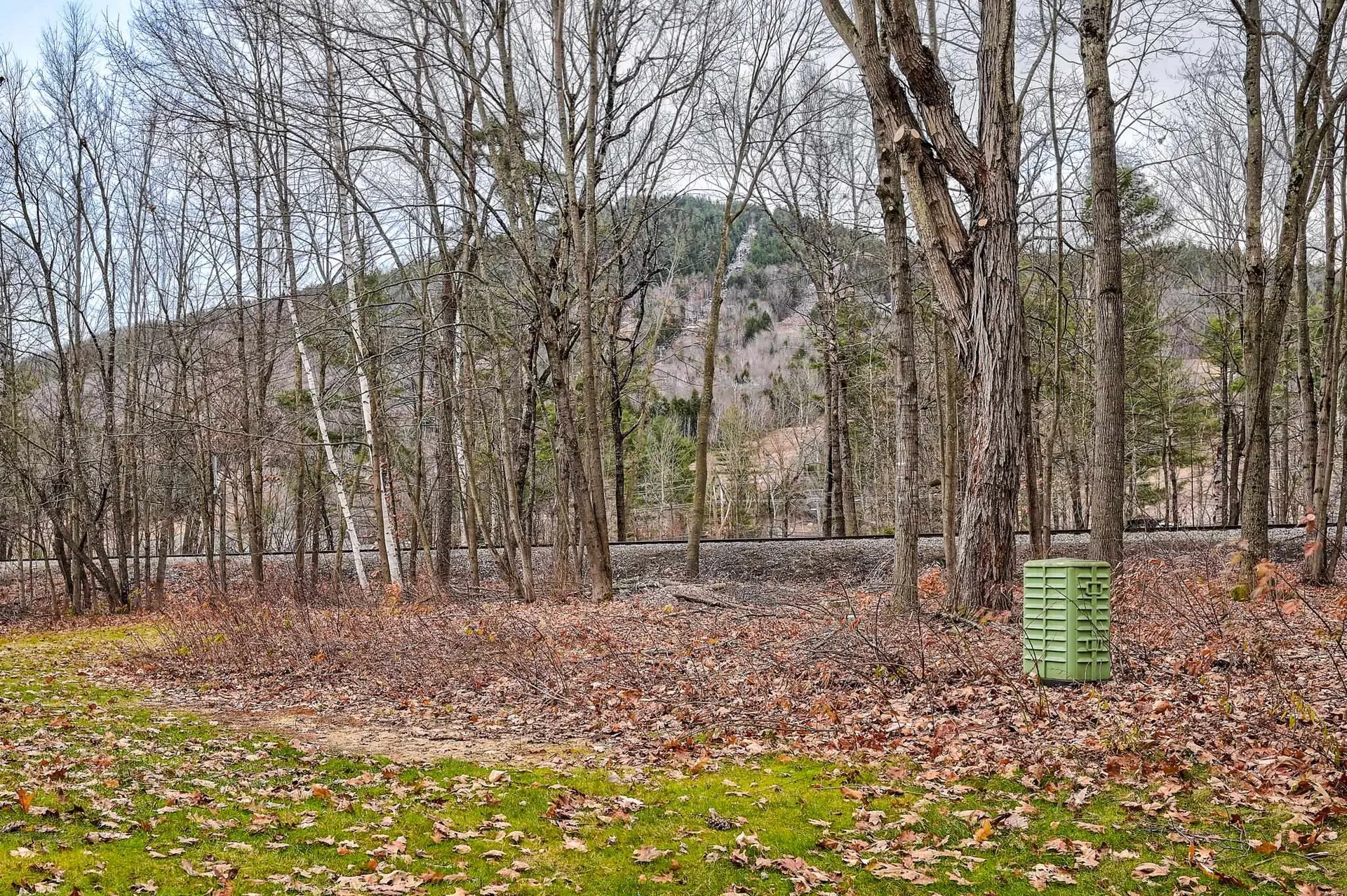 10G River Run Drive Bartlett NH 03812