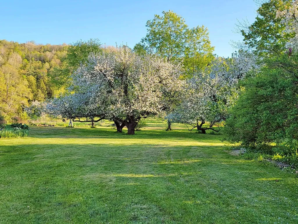 1076 Nh Route 123a Acworth NH 03607