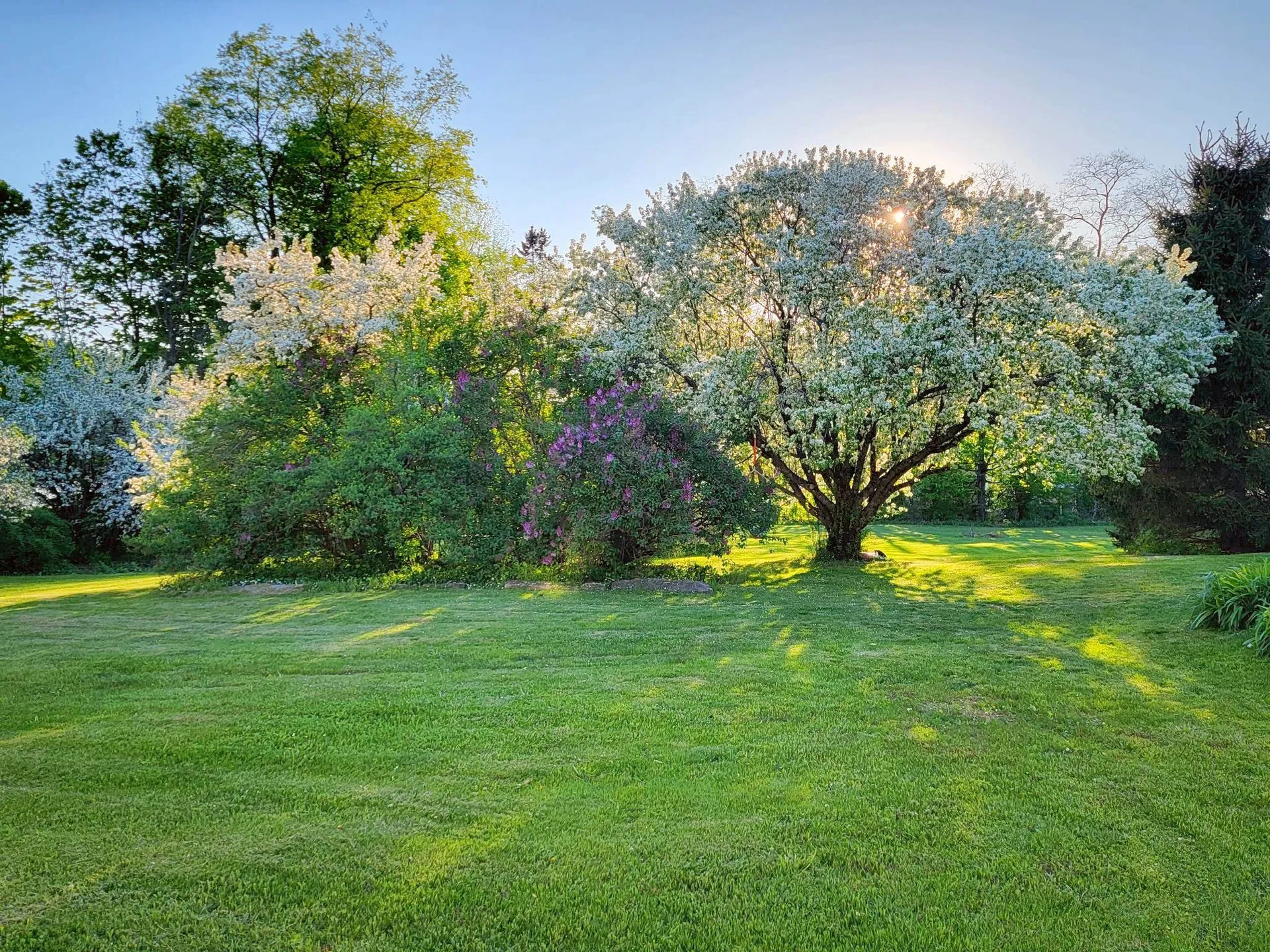 1076 Nh Route 123a Acworth NH 03607