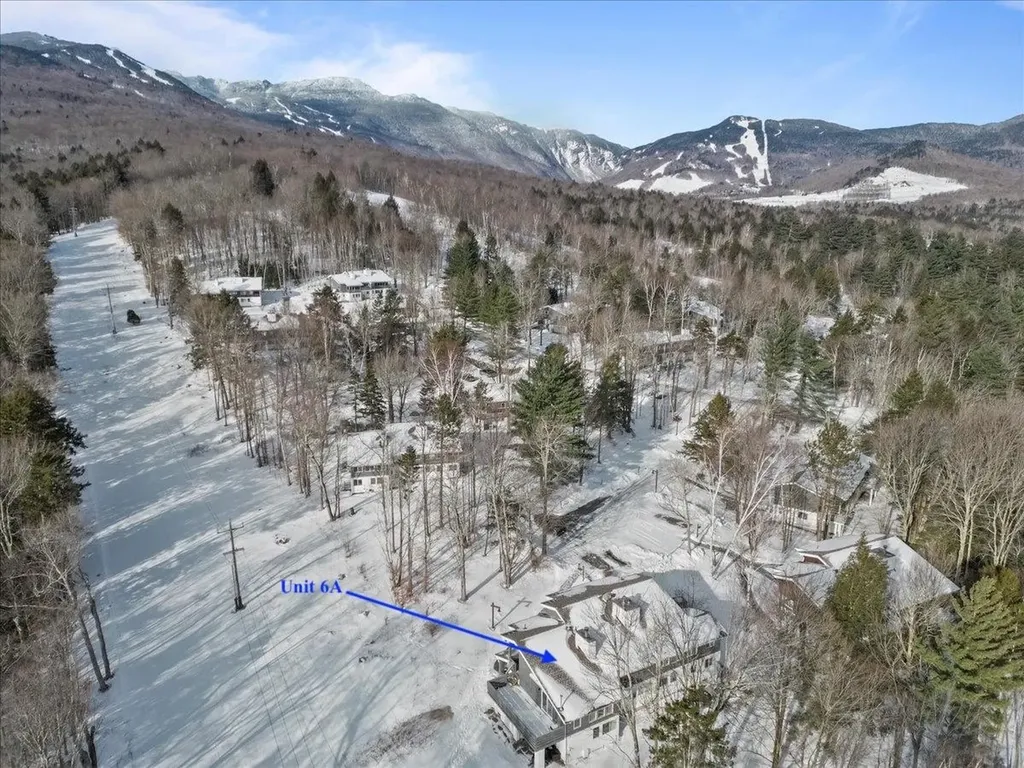 51 Tollhouse Lane Stowe VT 05672