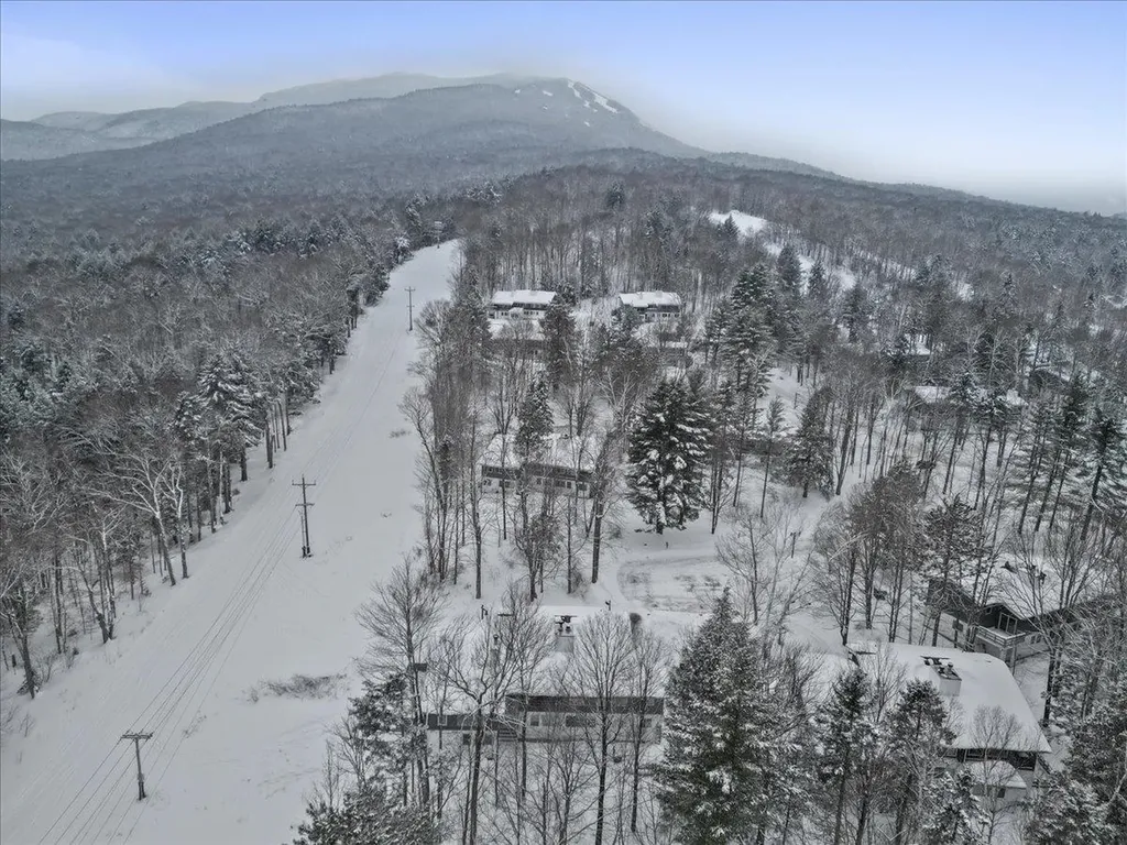 51 Tollhouse Lane Stowe VT 05672