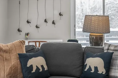 51 Tollhouse Lane Stowe VT 05672