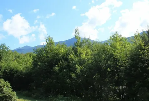 7 Parker Court Lincoln NH 03251