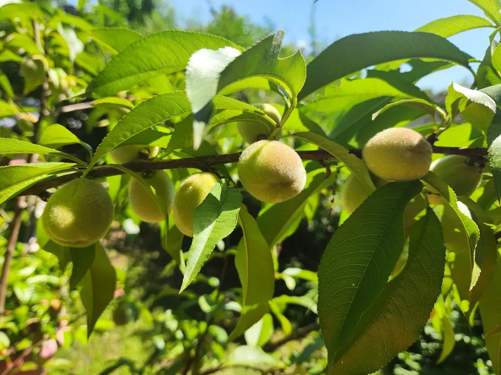 63 Evergreen Lane Hopkinton NH 03229