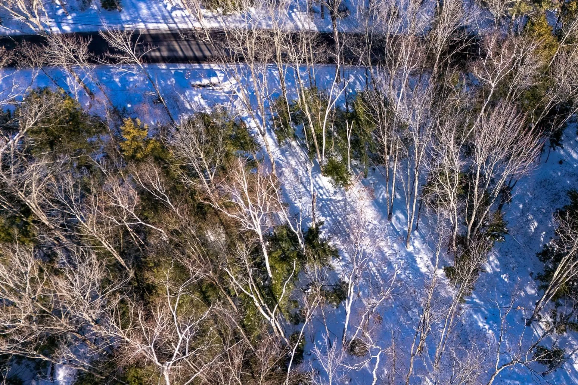 00 Page Hill Road Tamworth NH 03817