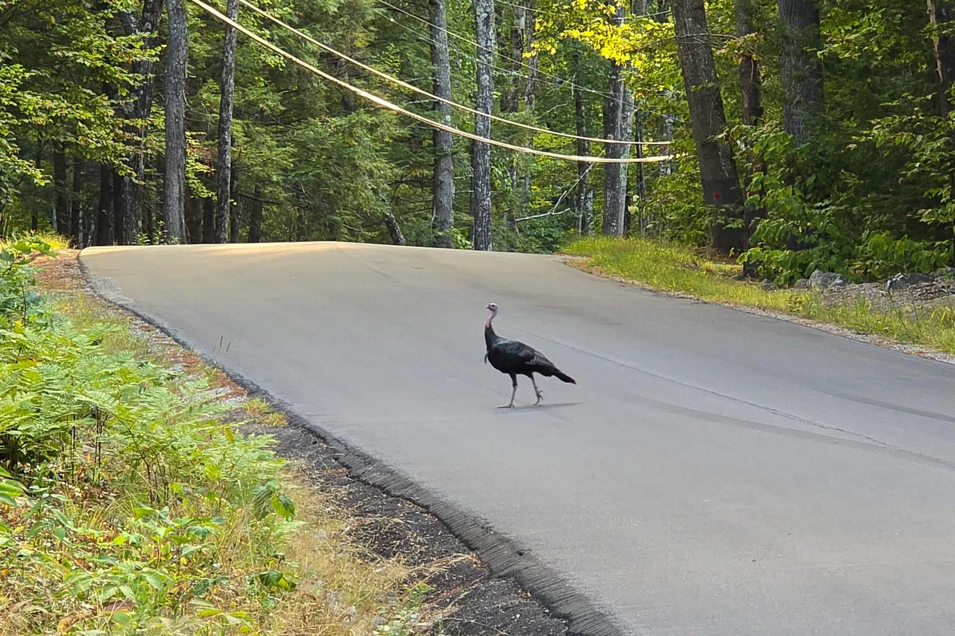 00 Page Hill Road Tamworth NH 03817