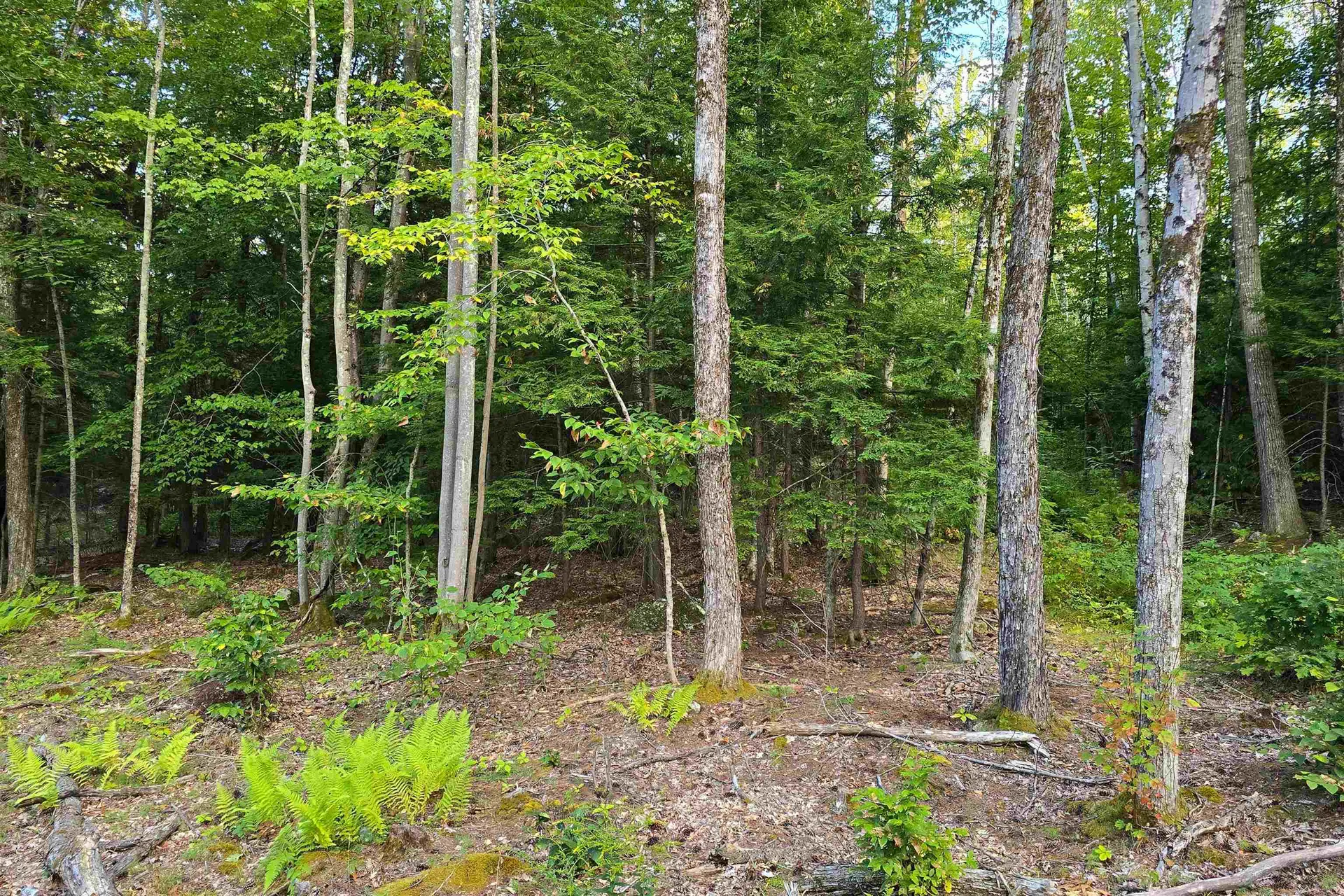 00 Page Hill Road Tamworth NH 03817