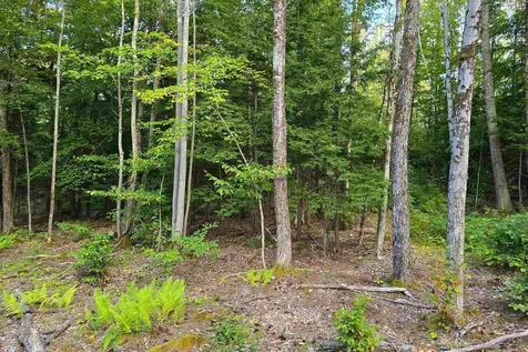 00 Page Hill Road Tamworth NH 03817