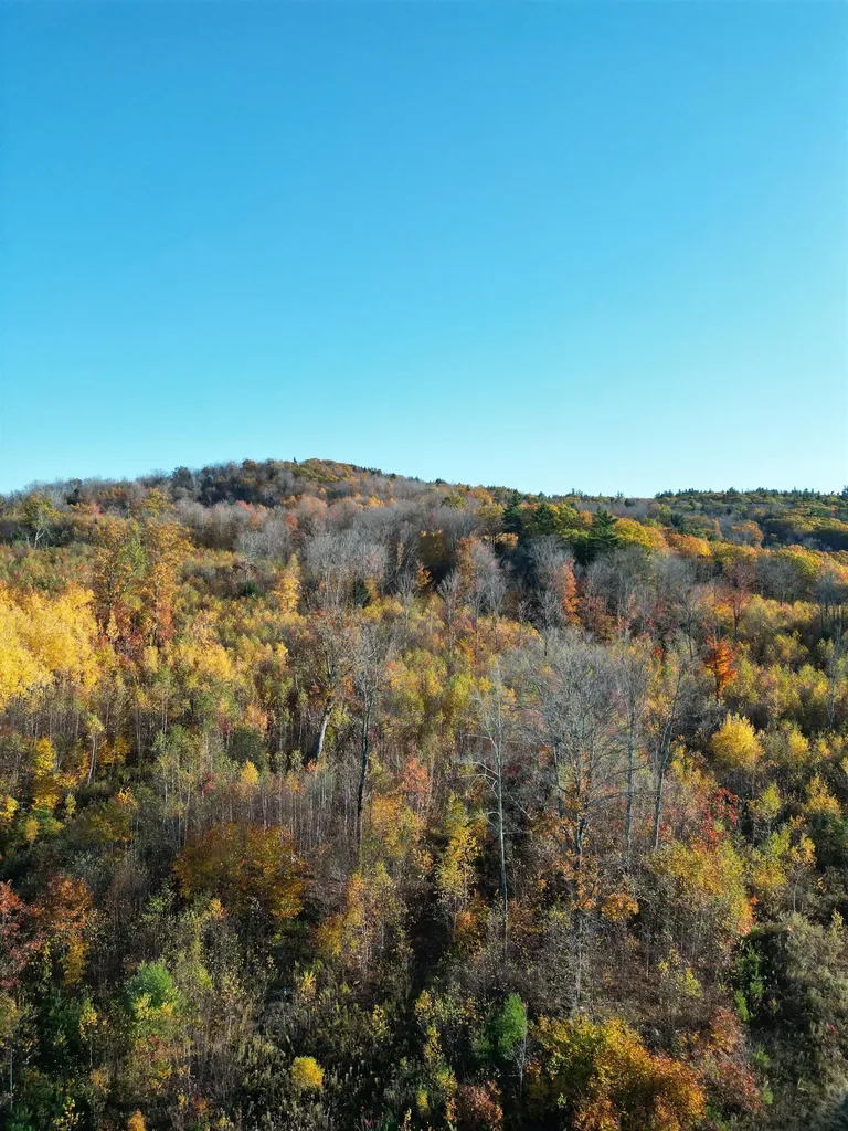 000 Black North Road Acworth NH 03601