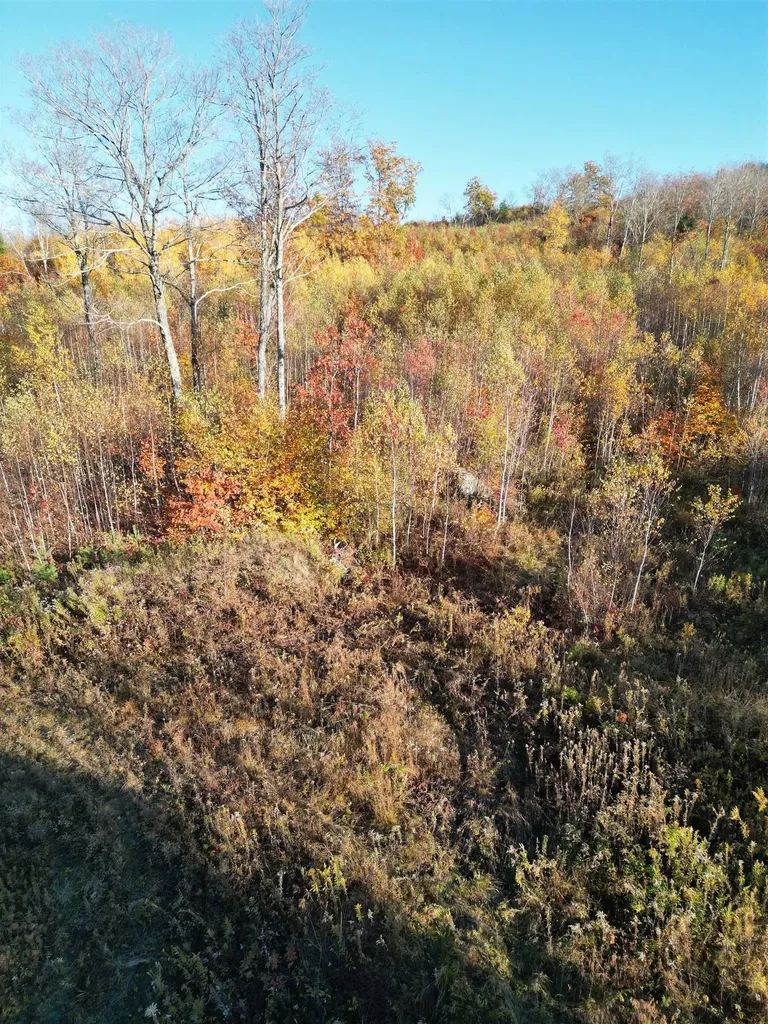 000 Black North Road Acworth NH 03601