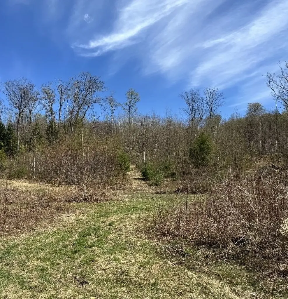 000 Black North Road Acworth NH 03601