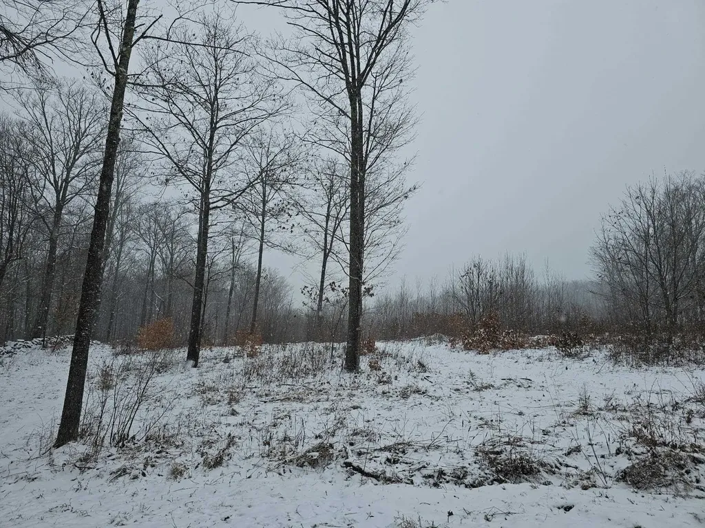 000 Black North Road Acworth NH 03601