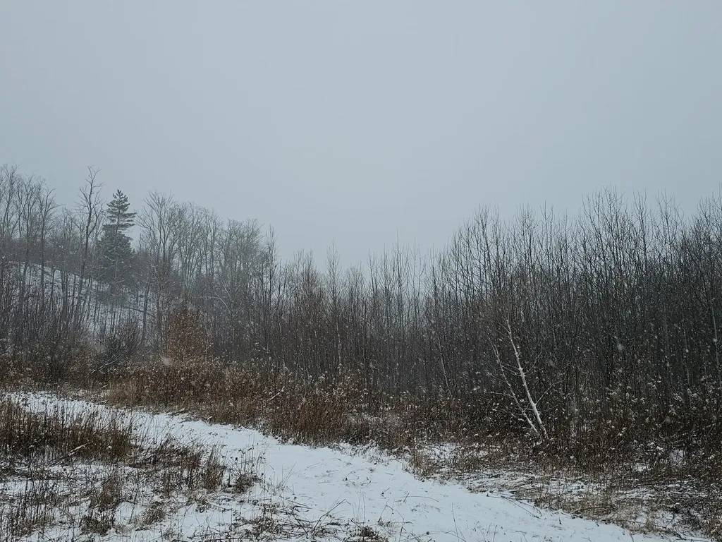 000 Black North Road Acworth NH 03601