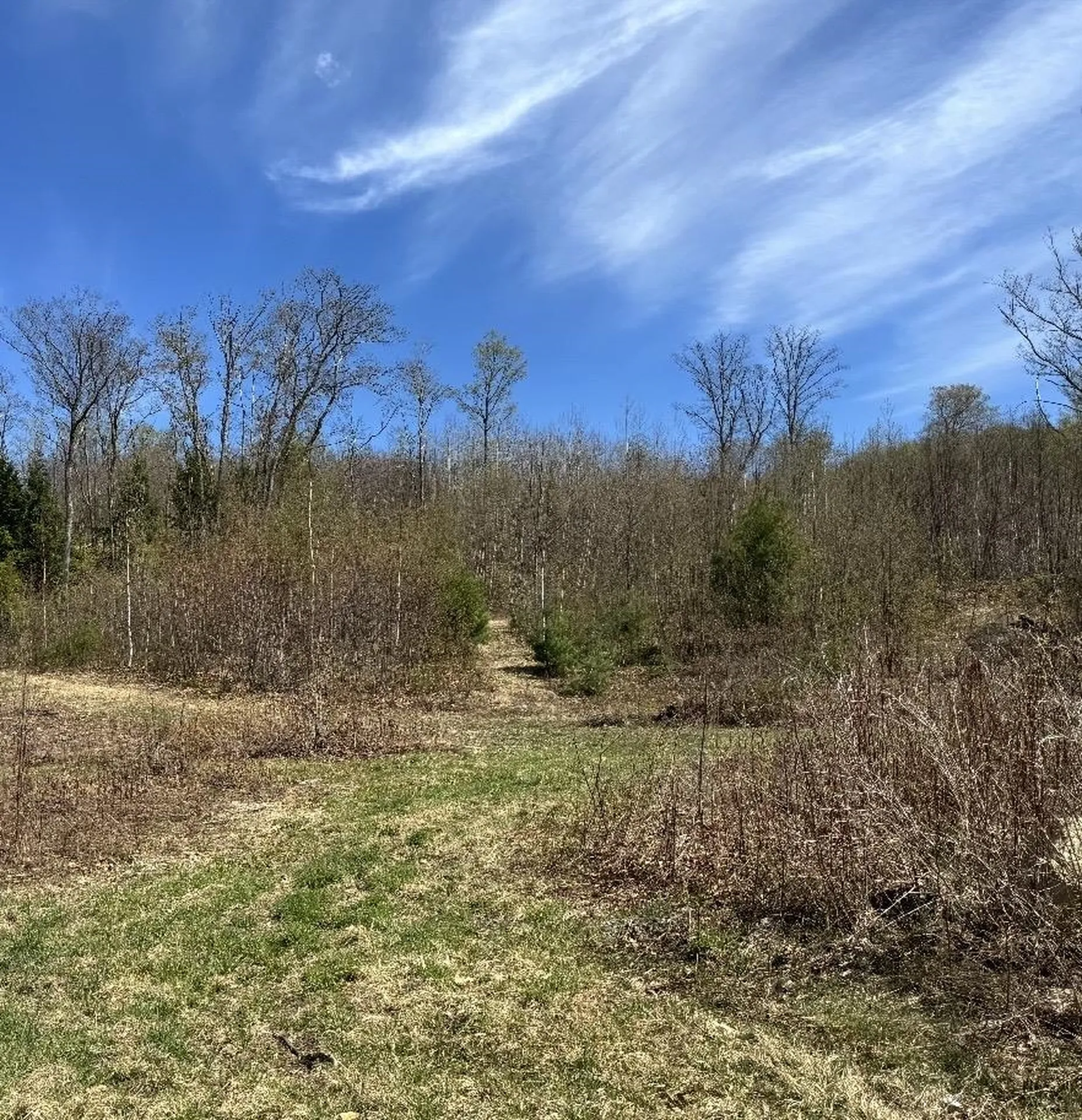 000 Black North Road Acworth NH 03601