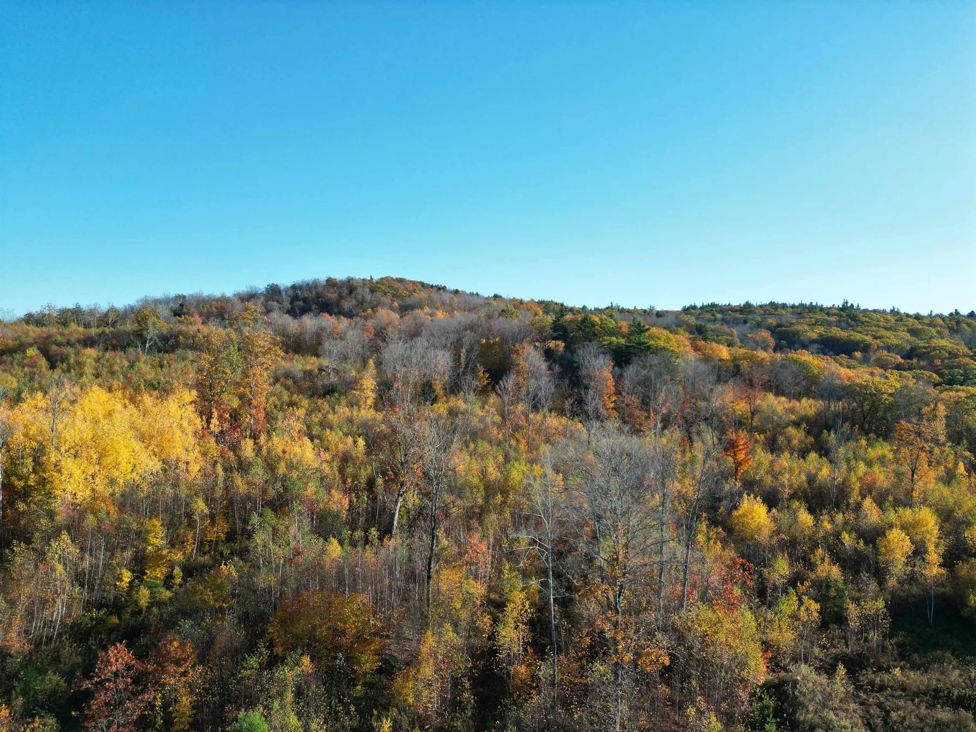 000 Black North Road Acworth NH 03601