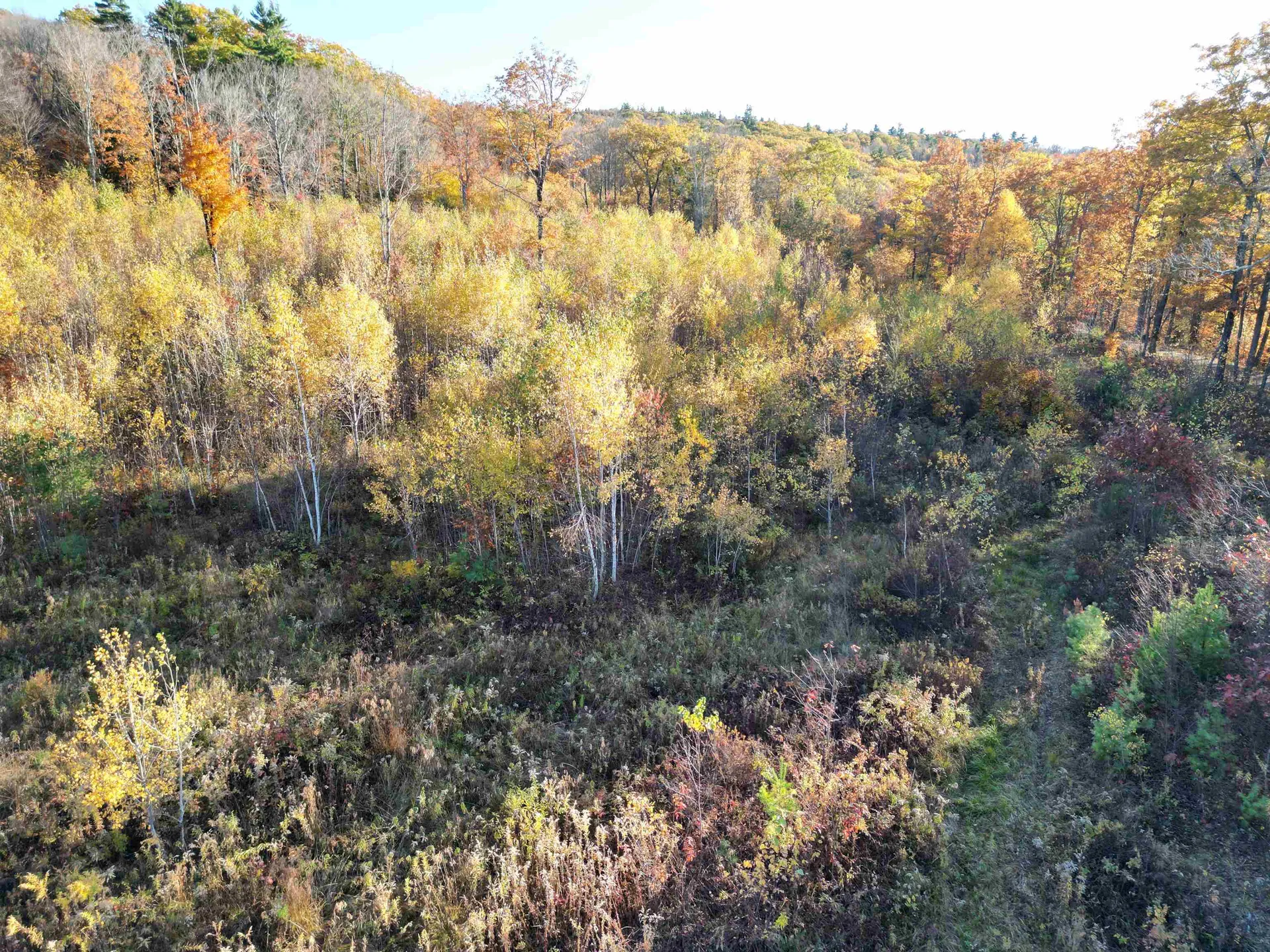 000 Black North Road Acworth NH 03601