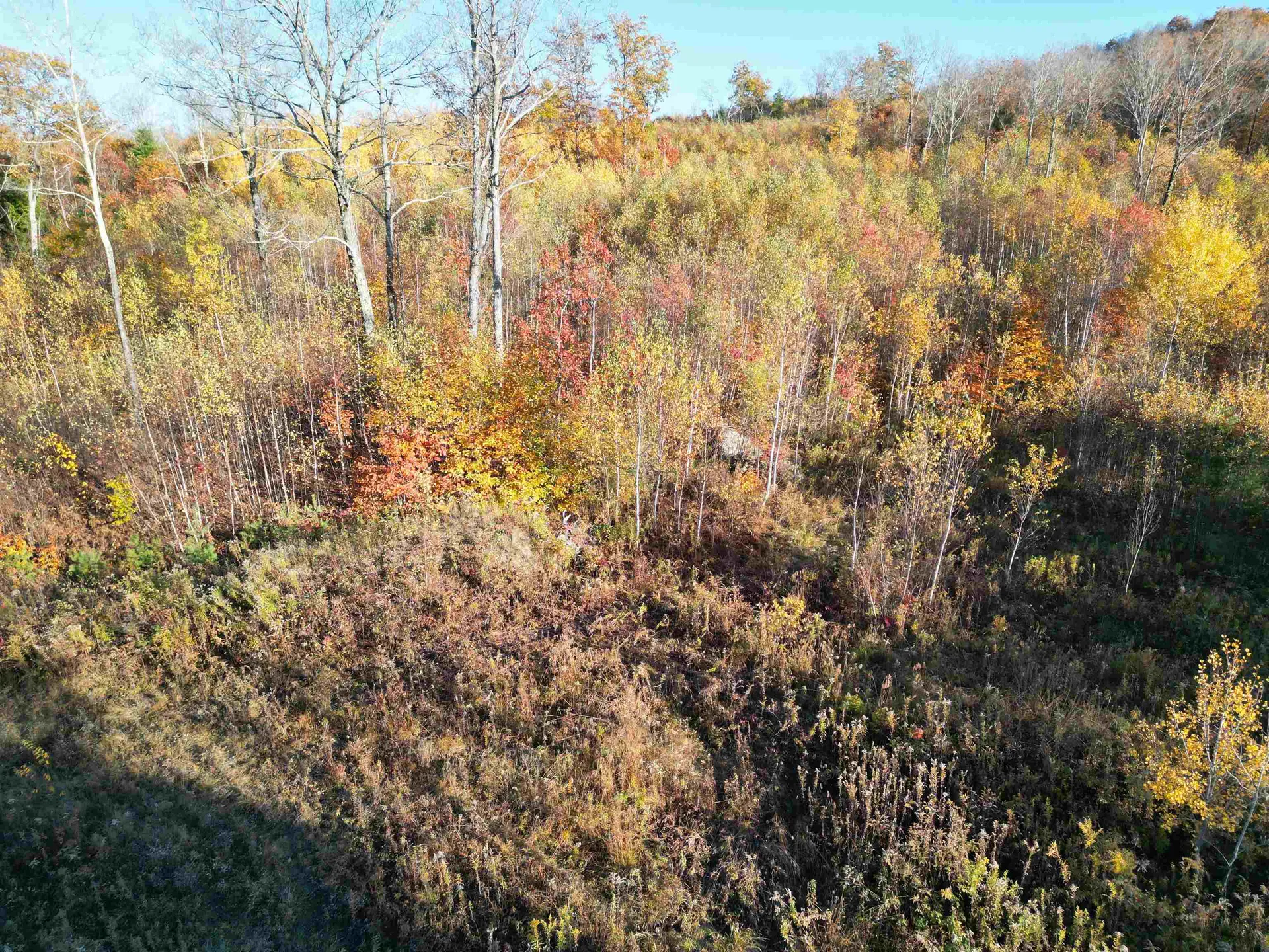 000 Black North Road Acworth NH 03601