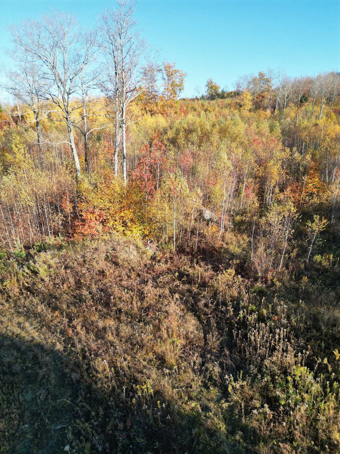 000 Black North Road Acworth NH 03601