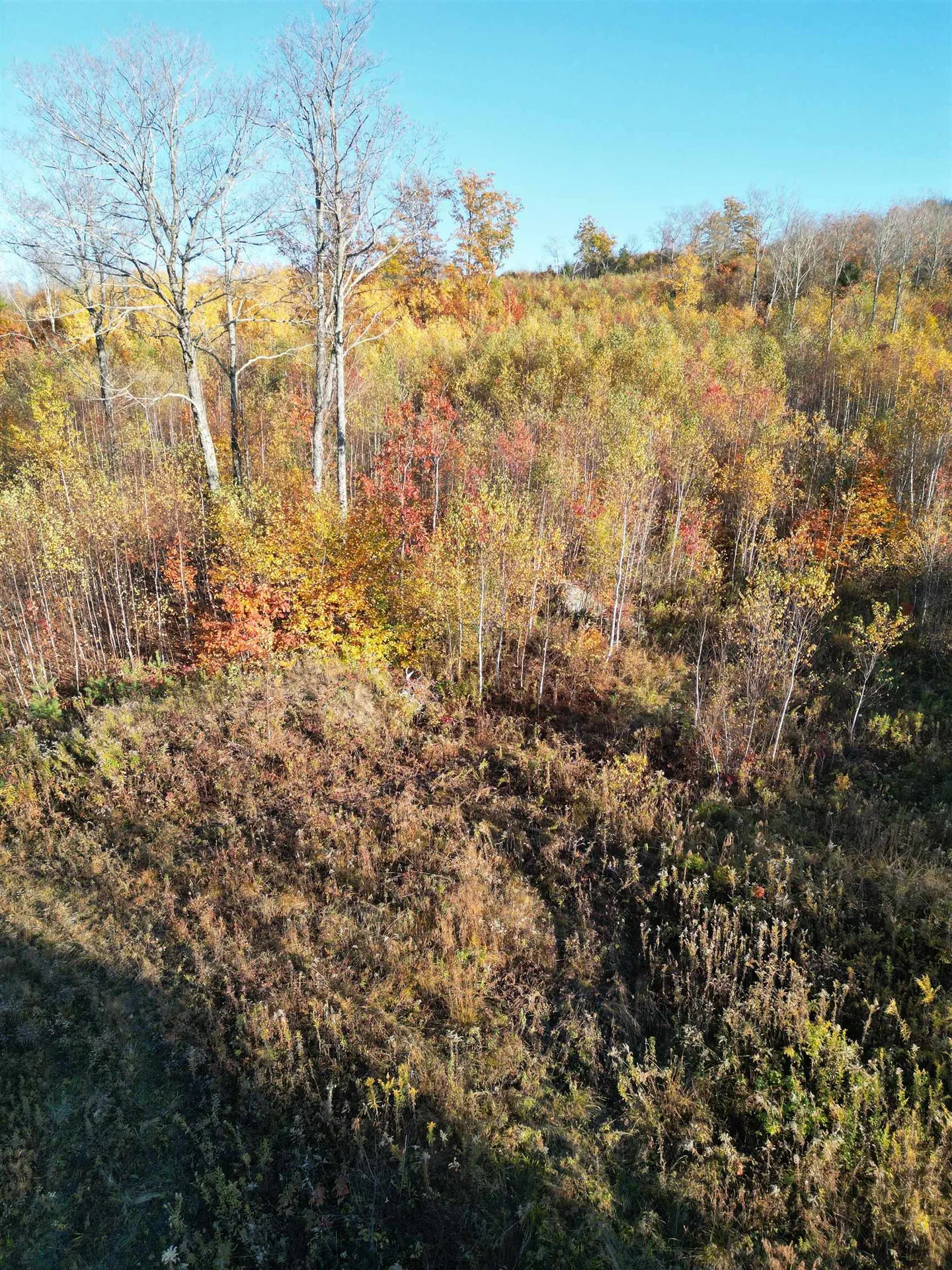 000 Black North Road Acworth NH 03601