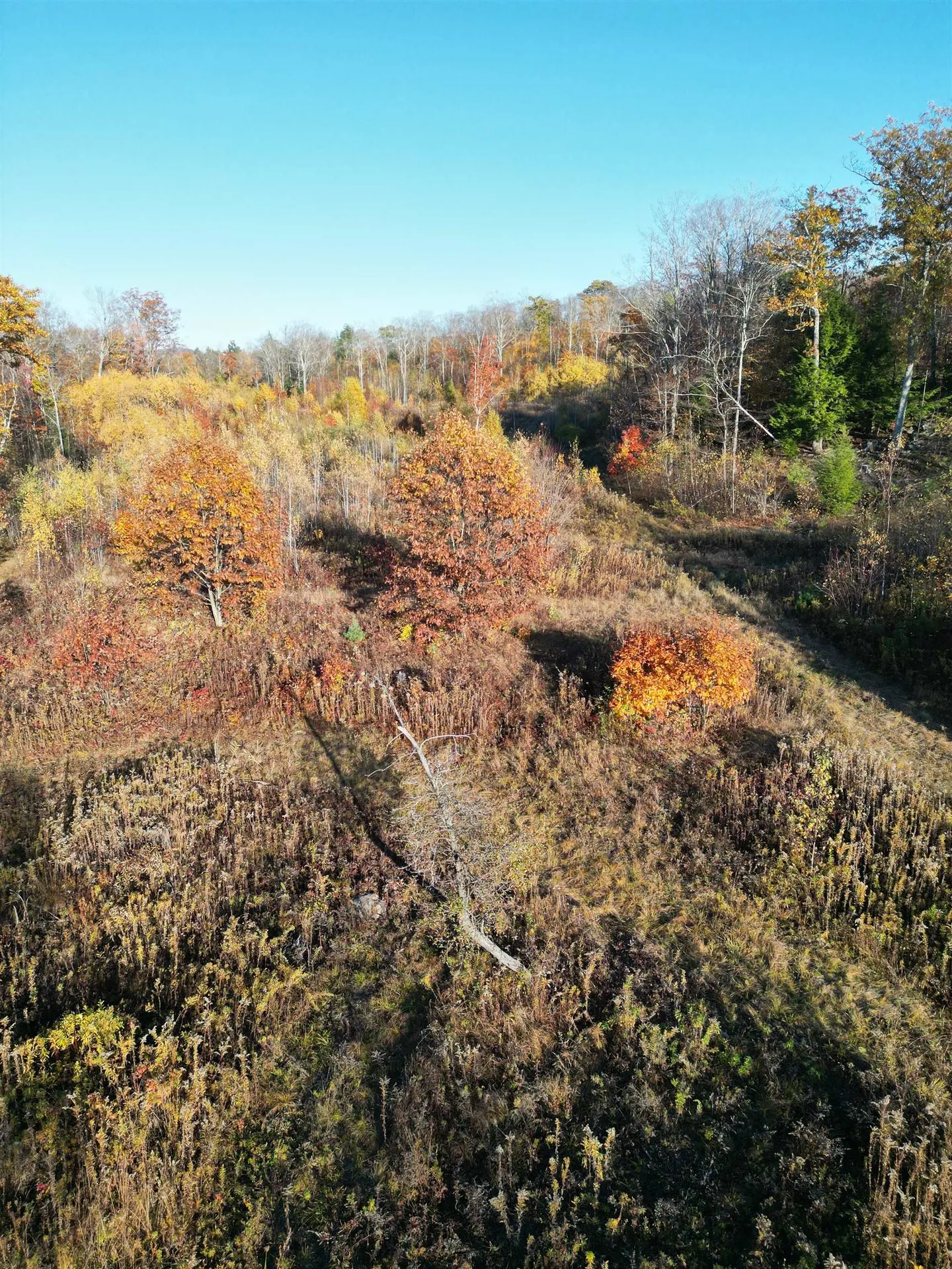 000 Black North Road Acworth NH 03601