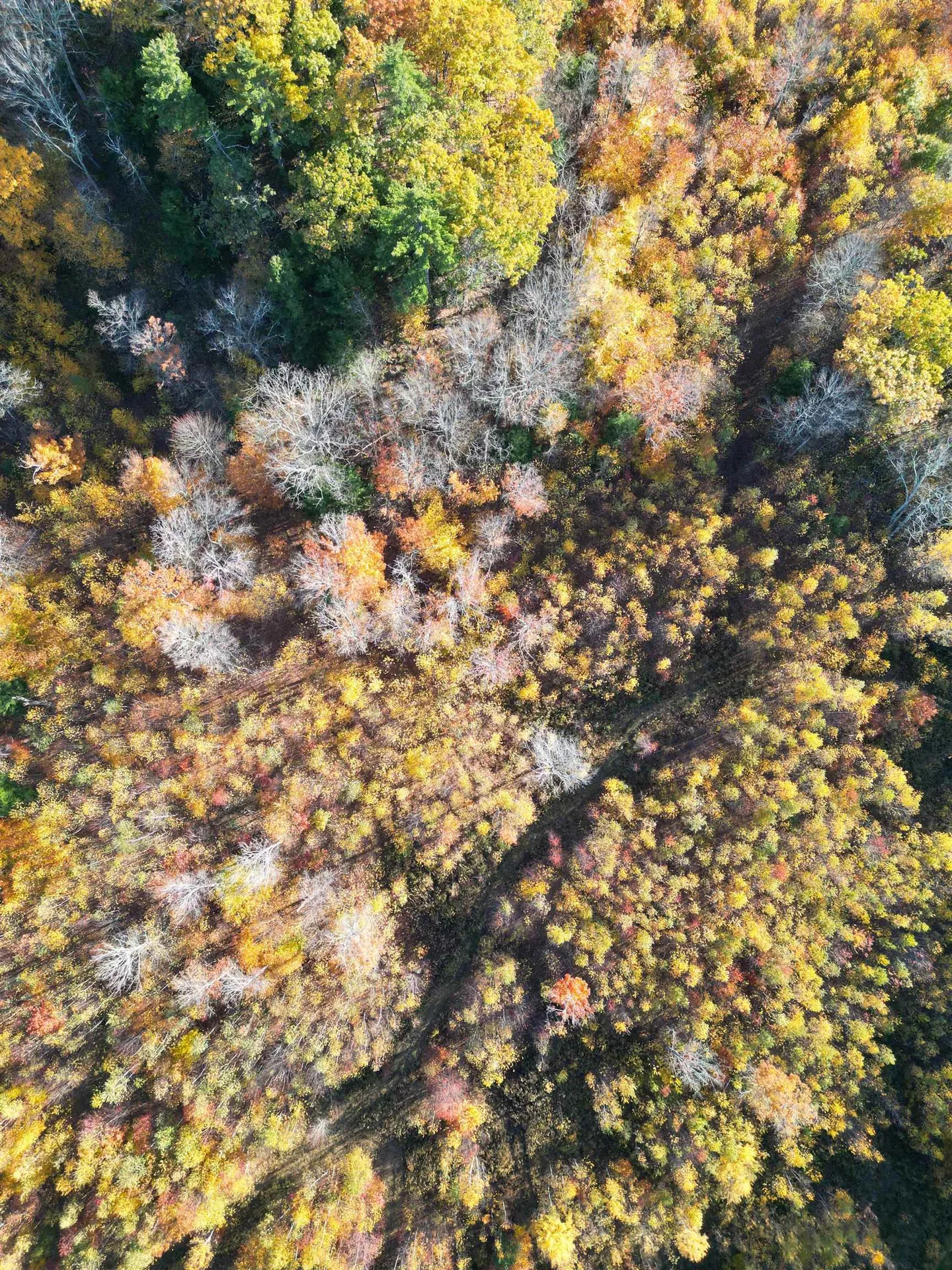 000 Black North Road Acworth NH 03601