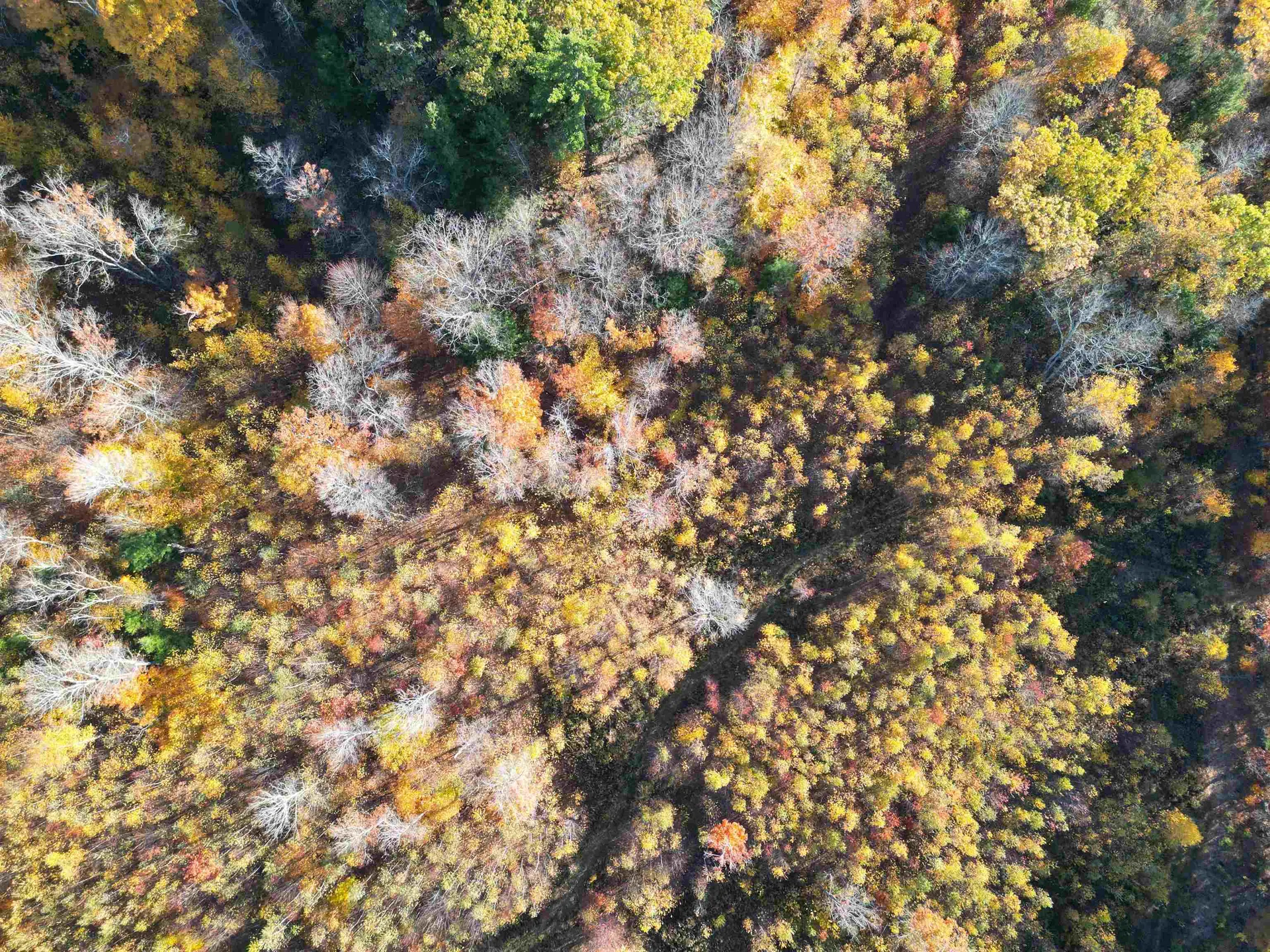 000 Black North Road Acworth NH 03601