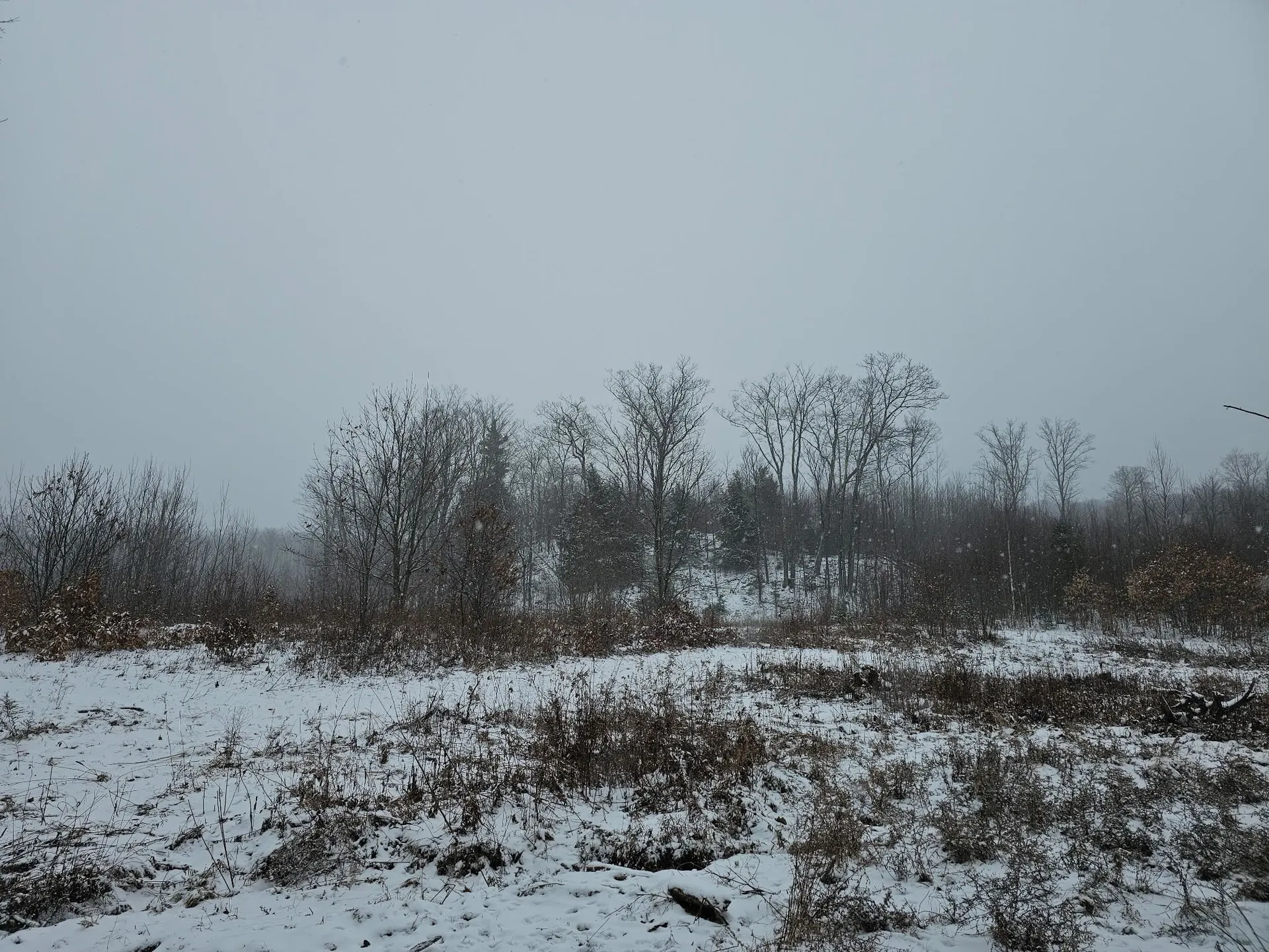 000 Black North Road Acworth NH 03601