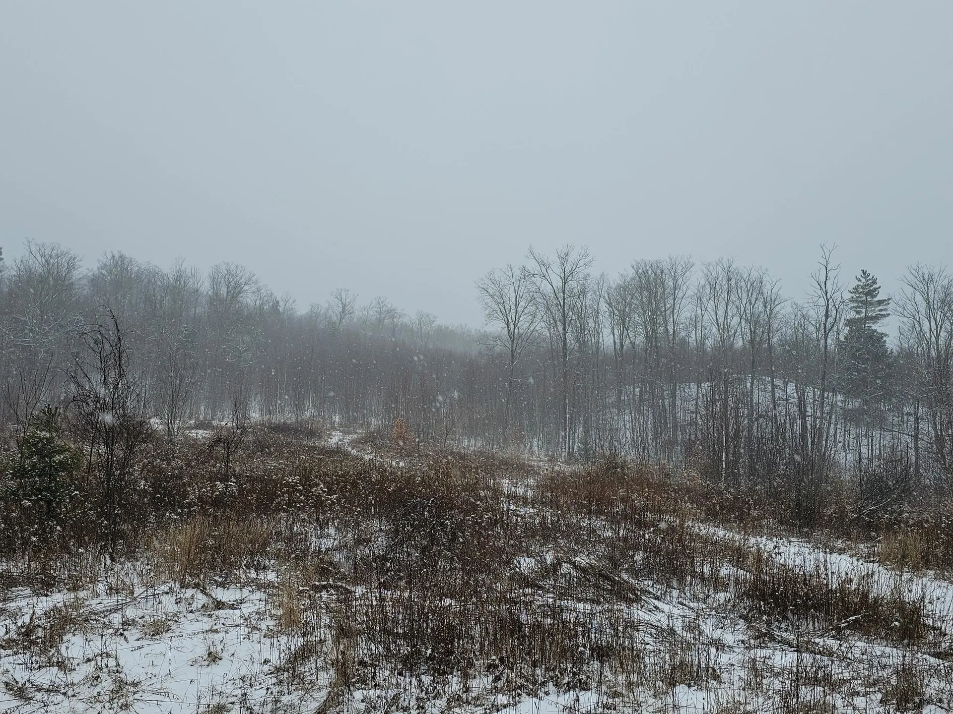 000 Black North Road Acworth NH 03601