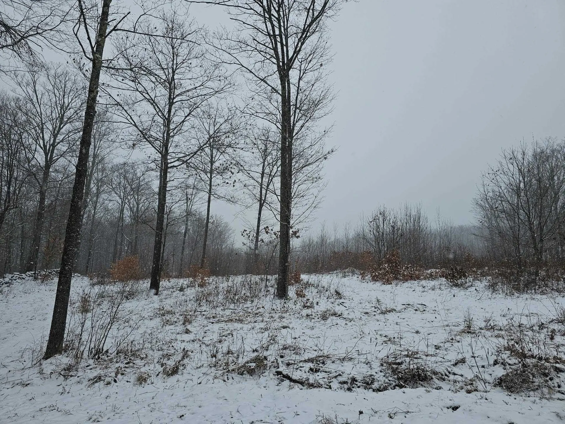 000 Black North Road Acworth NH 03601