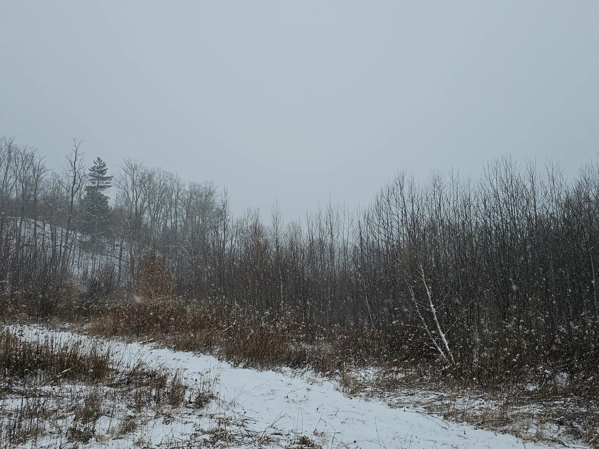 000 Black North Road Acworth NH 03601